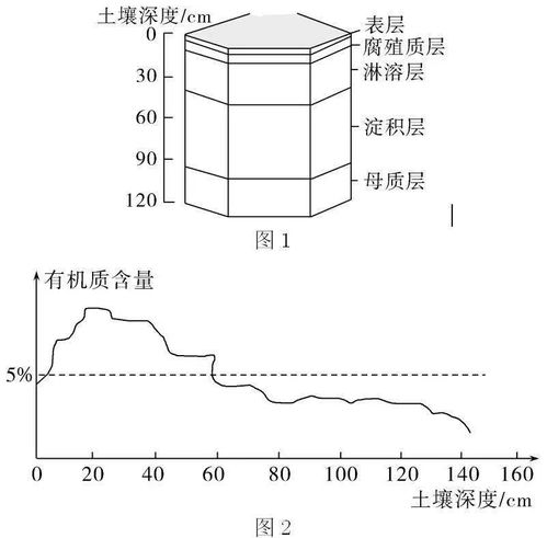 1241 这样的土壤,我该怎么拯救你