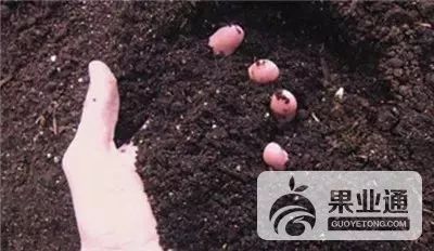 如何判断土壤的酸碱性