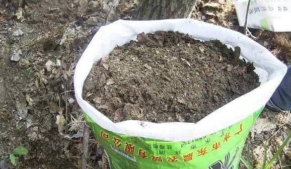 换盆后的 旧土 ,简单一处理,就是上好的营养土,啥花的能养 花卉 小崔 花都