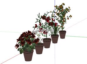 花盆植物设计图