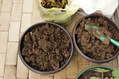 种花要用什么泥土