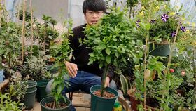多肉预防病虫害需每月喷洒一次多菌灵对水 组合的多肉盆栽才最美
