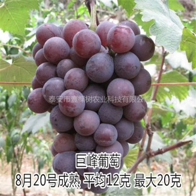价格 厂家 中国供应商