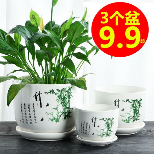 大号花盆陶瓷特价清仓特大号创意绿萝个性塑料简约小多肉花盆批发