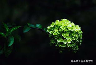 养花土壤总 开裂 教你解决花土板结的3个方法,值得了解一下