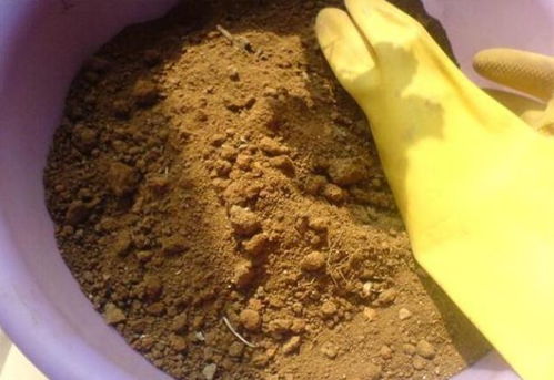 自己腐肥臭味熏天 超简单无臭腐肥法,你造吗