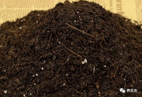 先弄清这3样土质的 特点 ,后续养花配土才不会出错