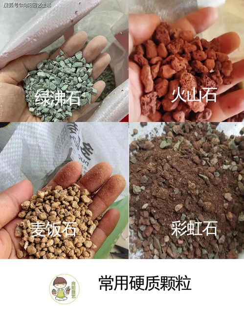 多肉如何配土 了解土壤种类,根据当地环境,搭配实用花土