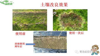是时候保护我们的土壤了