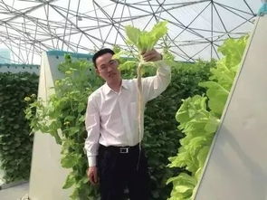 种菜不用土和水,产量还能翻2倍 趣味菜园