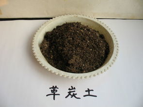 泥炭土和草炭土一样吗 有什么区别啊,一般用在哪里呢