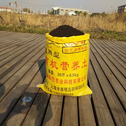 家庭园艺营养土的使用方法-营养土与园土怎么搭
