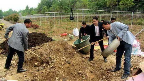 有机肥为什么不好卖—为什么有机肥不能被农作