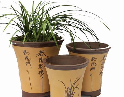 养护兰花,如何更好的选择适合兰花的花盆
