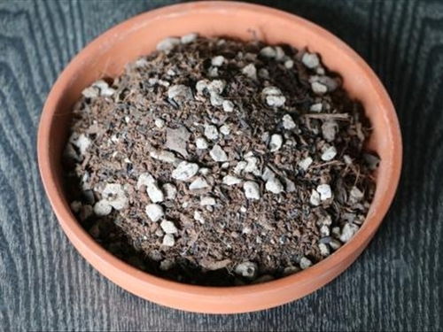 养花的过程中,营养土的作用很大,学着自己动手做营养土吧