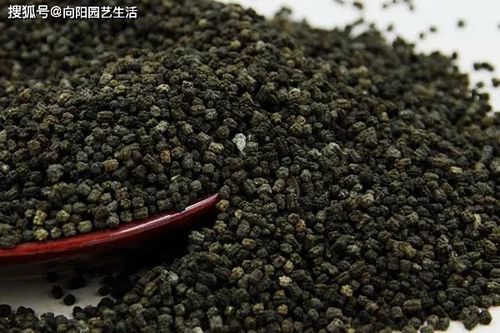 花盆里有土蚕用什么药去除,土蚕花盆里的土蚕怎