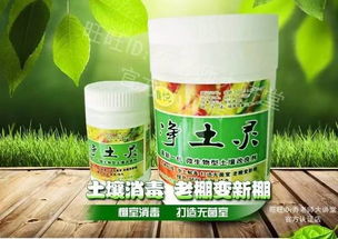 大棚土壤消毒,这六种方法效果显著