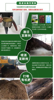 如何正确的将鸡粪发酵成有机肥