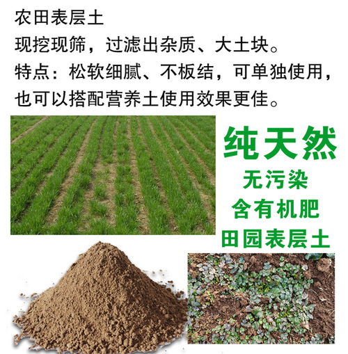 营养土和园土搭配比例—营养土和园土可以搅拌