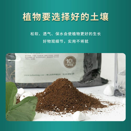 网上买的营养土可以直接种花吗