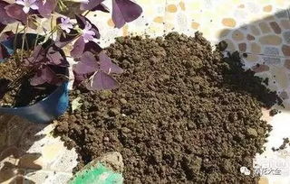 养过花的旧土,再加点这个,又能重新用 