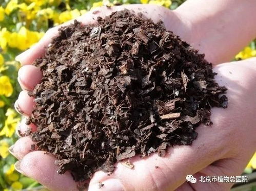 种什么花用什么土,你选对了吗