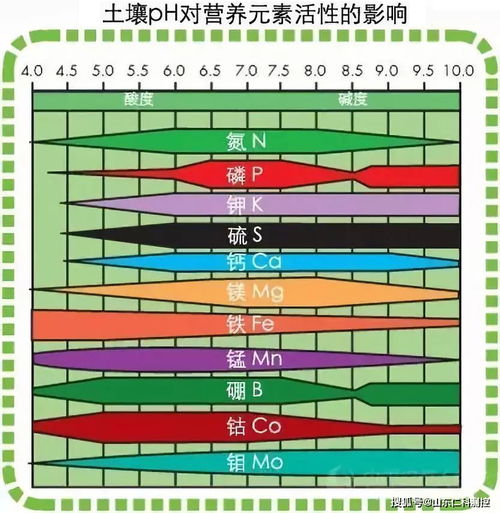 土壤PH传感器的监测原理与实际应用