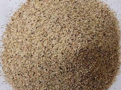河沙养花有5个 妙用 ,出门别忘了拎一袋,好用又不花钱