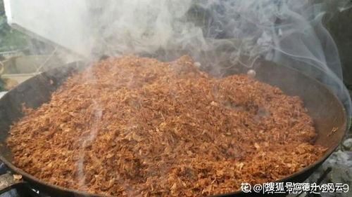 20种自制营养土,肥的流油,不用花钱买