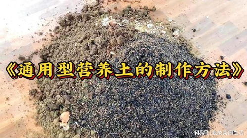 教你在家制作营养土,种菜种花通用型,配制简单好用比买的还好用