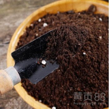 广州黄页88网