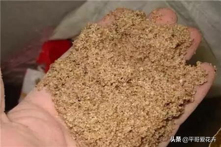 盆土板结怎么办 教你 3招 小技巧,不换盆也能变得疏松透气