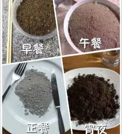 井大的土松软清香,就是有点粘牙