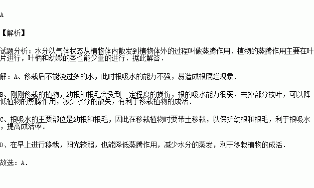 论述为什么要进行带土移栽_论述为什么要进行带