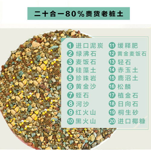 进口多肉土植物专用营养土多肉颗粒土肉肉土叶插换盆土泥炭土包邮