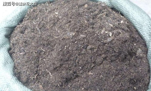 如何保障养花土的安全性 学会这3妙招,不花钱就能杀菌消毒