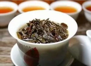 7天简易自制有机肥料-烂菜烂水果制作有机肥的方