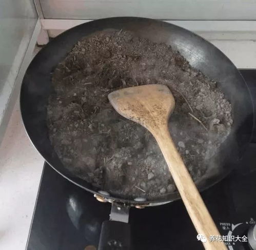 换盆的旧土千万别丢,掺点它立马肥得流油
