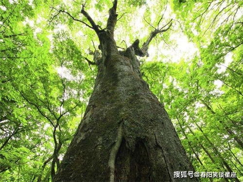 半生不发财, 一发收不住 3大生肖, 5月开始一发不可收拾