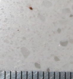 这是什么虫子 极小的1毫米红褐色,貌似绒螨虫