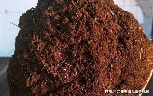 椰糠是种好介质,使用方法有讲究,你用对了吗