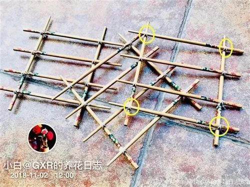 废旧筷子拿来养花,垫到花盆底,透气透水不烂根
