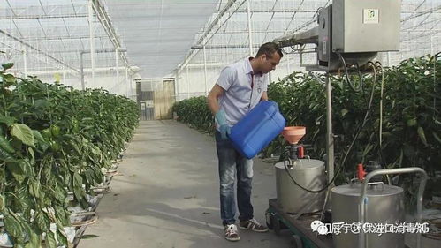 农业种植如何改善土壤微生物病害 德国进口土壤消毒杀菌剂