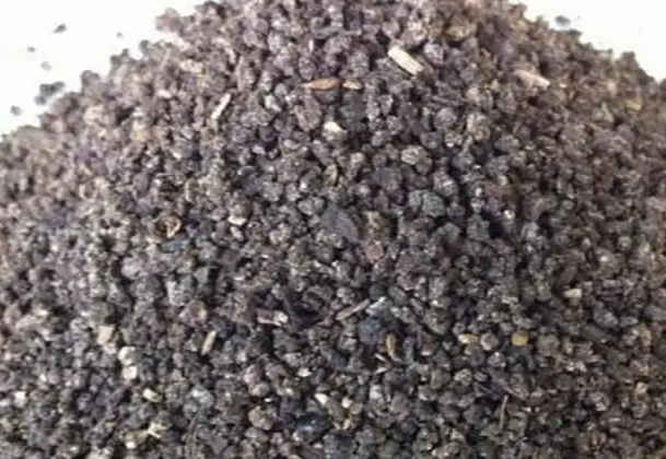 养花人身边的3种有机营养土,一毛钱都不用花