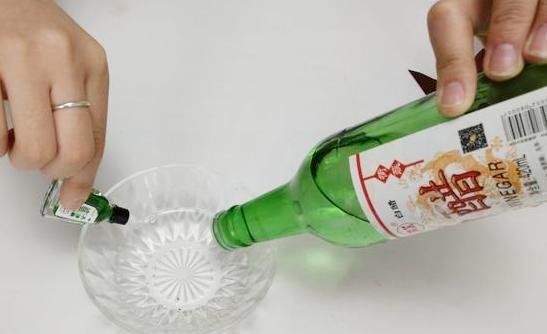 自制杀虫剂的方法白醋杀虫—白醋小飞虫祛除偏