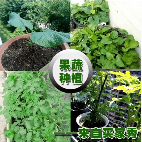 通用型有机营养土种菜种花土壤花肥多肉绿萝玫瑰月季花卉绿植种植