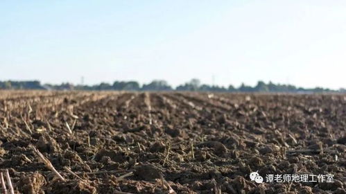 我们赖以生存的土壤还好么 土壤与地理环境全方位解读,二轮复习微专题土壤最全整理
