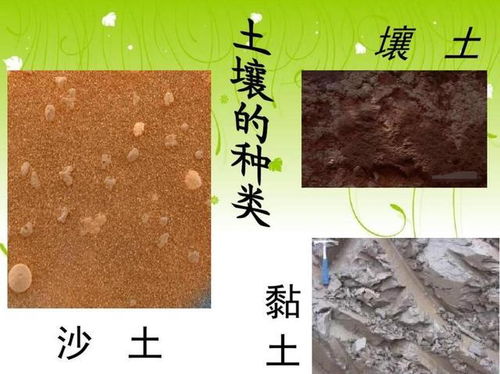 种植界,肥料到底是如何发挥作用的 肥 与 施 谁更重要呢