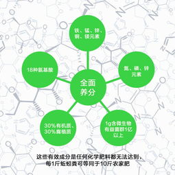 如何解决土地板结-改善土地板结的办法