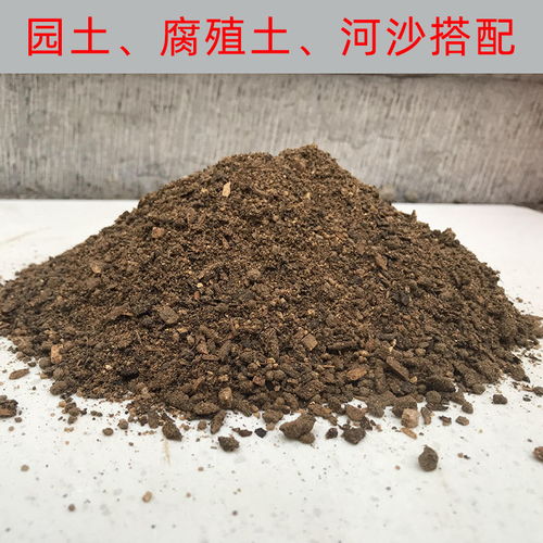 多肉土天然细河沙颗粒配土壤专用多肉营养土通用种花铺面石粗沙子